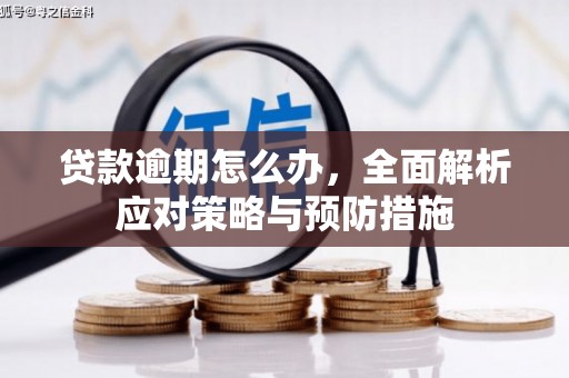 成都贷款逾期怎么办，全面解析应对策略与预防措施