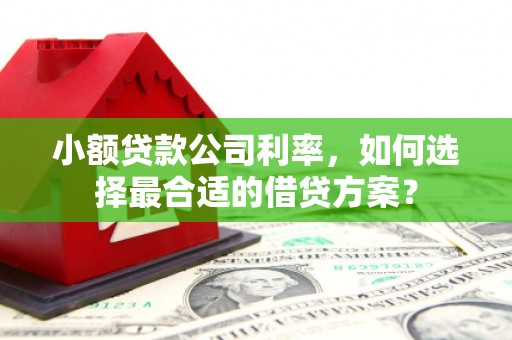 成都小额贷款公司利率，如何选择最合适的借贷方案？