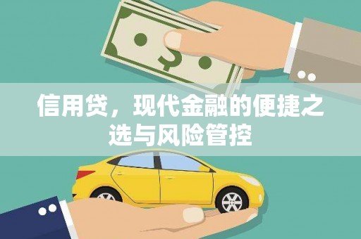 成都信用贷，现代金融的便捷之选与风险管控