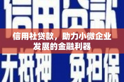成都信用社贷款，助力小微企业发展的金融利器