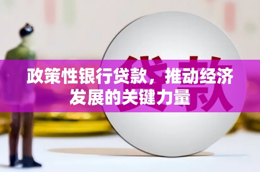 成都政策性银行贷款，推动经济发展的关键力量
