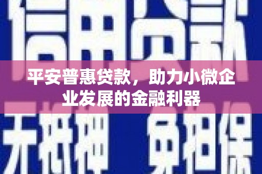 成都平安普惠贷款，助力小微企业发展的金融利器