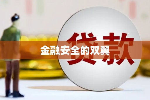 成都金融安全的双翼