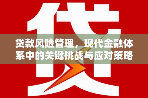成都贷款风险管理，现代金融体系中的关键挑战与应对策略