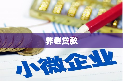 成都养老贷款