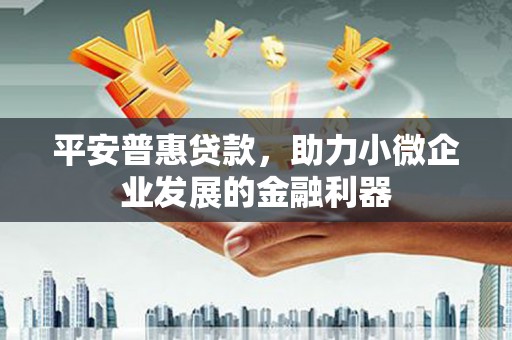 成都平安普惠贷款，助力小微企业发展的金融利器