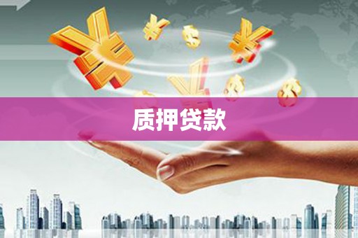 成都质押贷款