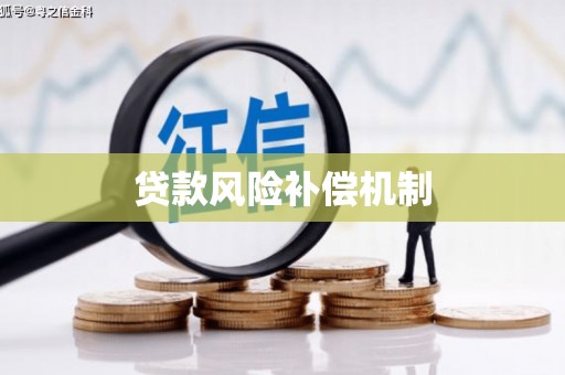 成都贷款风险补偿机制