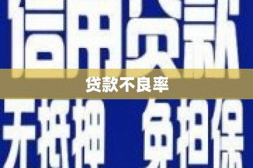 成都贷款不良率