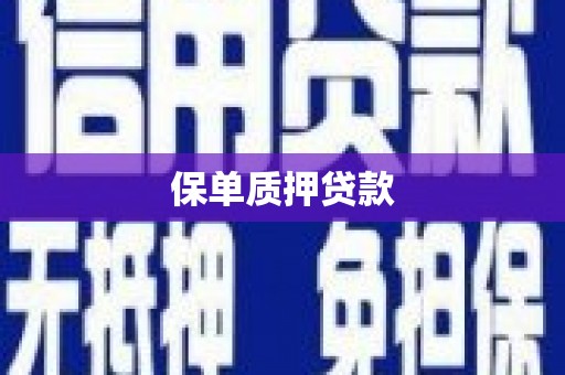成都保单质押贷款