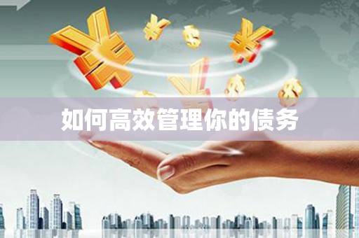 成都如何高效管理你的债务