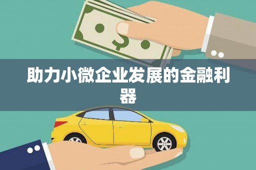 成都助力小微企业发展的金融利器