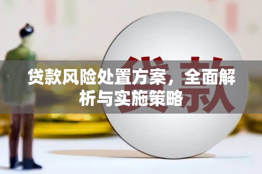 成都贷款风险处置方案，全面解析与实施策略