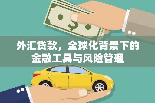 成都外汇贷款，全球化背景下的金融工具与风险管理